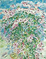 05.05._-_25.05.1978_Link.jpg