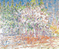 25.02._-_30.03.1988_Bild_Link.jpg